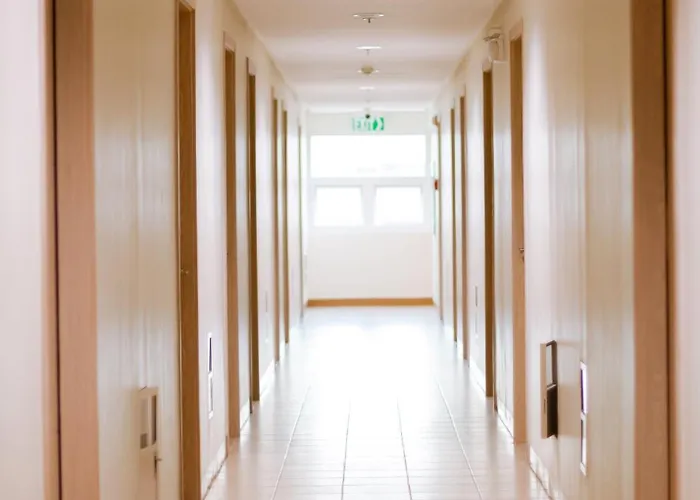 Apartment 1 Bedroom With Free Wifi And Netflix In Trees Residences *